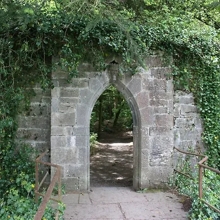 לינה וארוחת בוקר Michaeleen's Manor קונג
