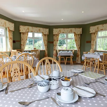 Michaeleen's Manor فندق مبيت وإفطار كونغ