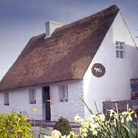 Bed and Breakfast Michaeleen's Manor