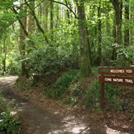 Michaeleen's Manor فندق مبيت وإفطار 4*