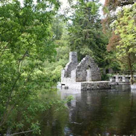 Michaeleen's Manor