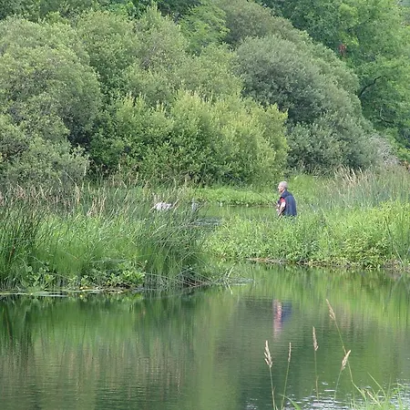 Michaeleen's Manor 4* كونغ