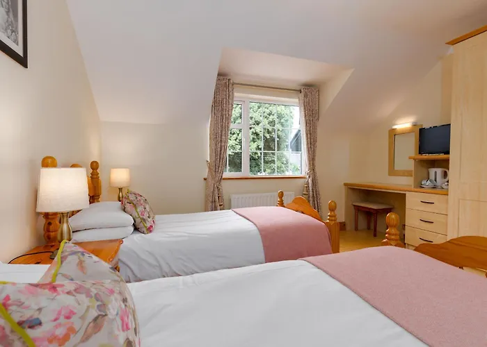 Michaeleen's Manor Bed & Breakfast Cong