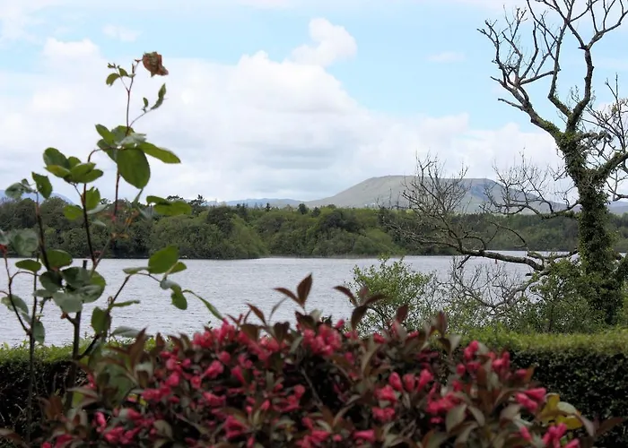 Bed & Breakfast Michaeleen's Manor