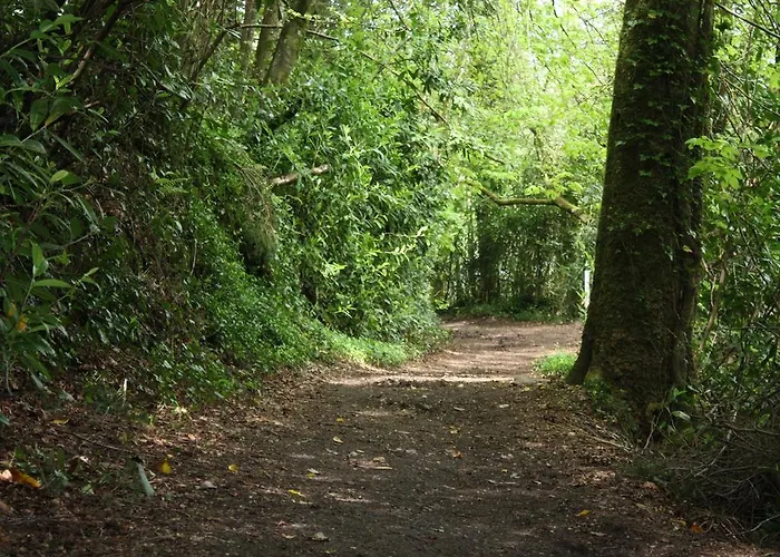 Bed & Breakfast Michaeleen's Manor 4*