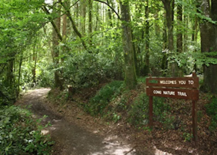 Michaeleen's Manor B&B 4*