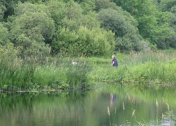 Michaeleen's Manor 4* Cong